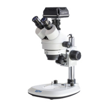 Stereo Microscopes