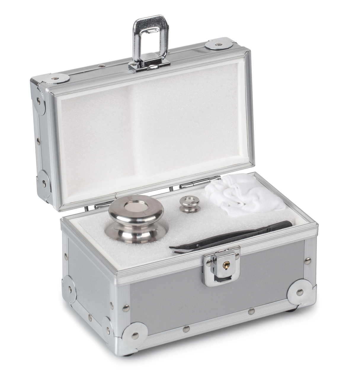Case for calibration weight 315-040-100